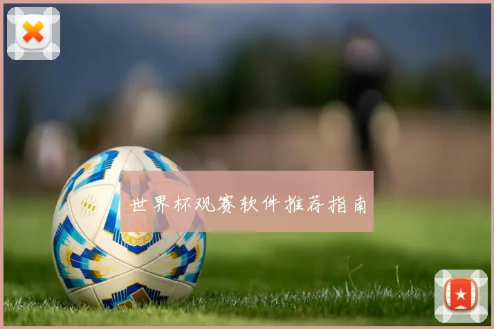 世界杯观赛软件推荐指南