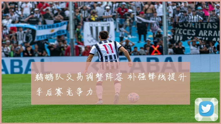 鹈鹕队交易调整阵容 补强锋线提升季后赛竞争力